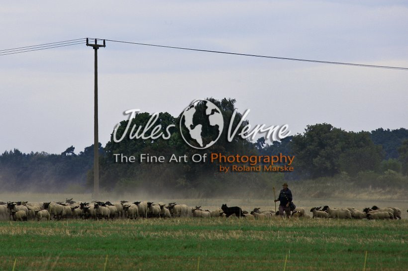 jvo_galerie_045.jpg